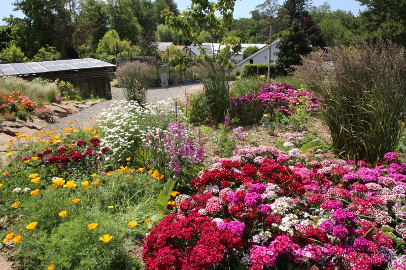 Shoals Hook Farm Haverfordwest NGS Gardens